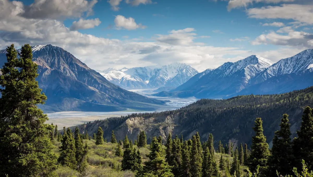 Understanding Natural Light: A Photographer's Guide