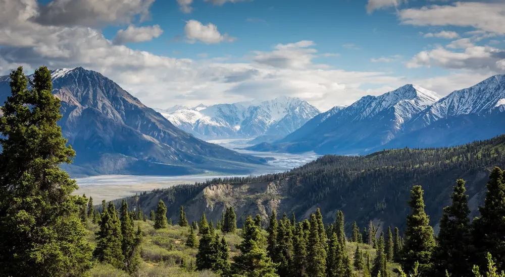 Understanding Natural Light: A Photographer's Guide