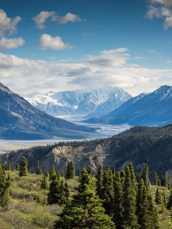 Silent Mountains