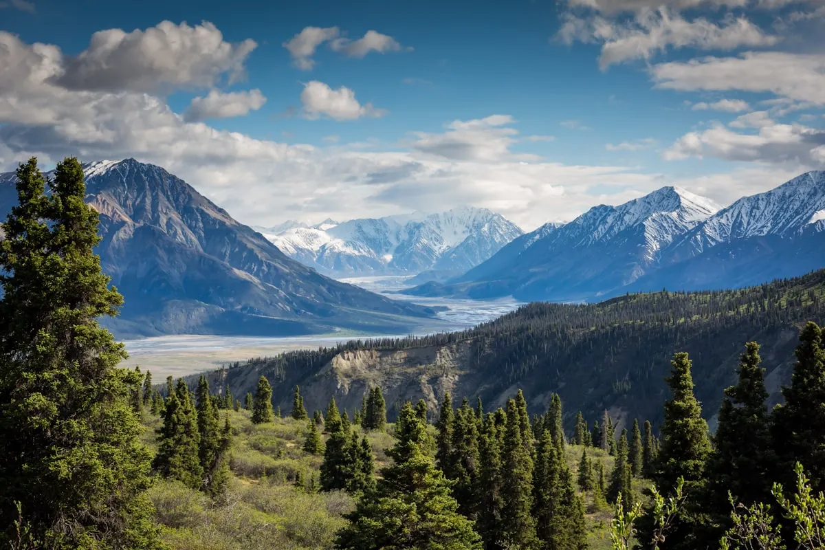 Silent Mountains