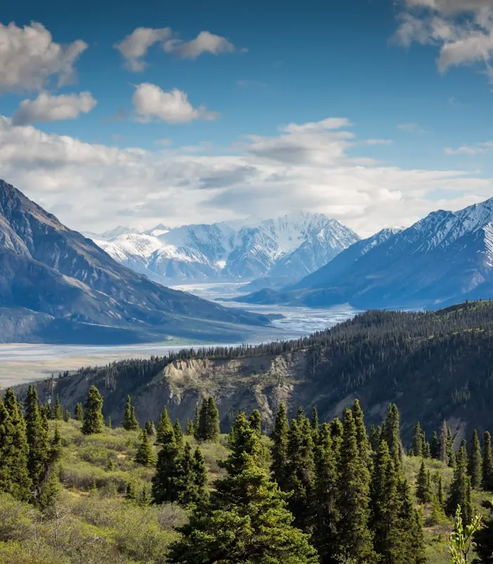 Cinematic Landscape Photography Cover