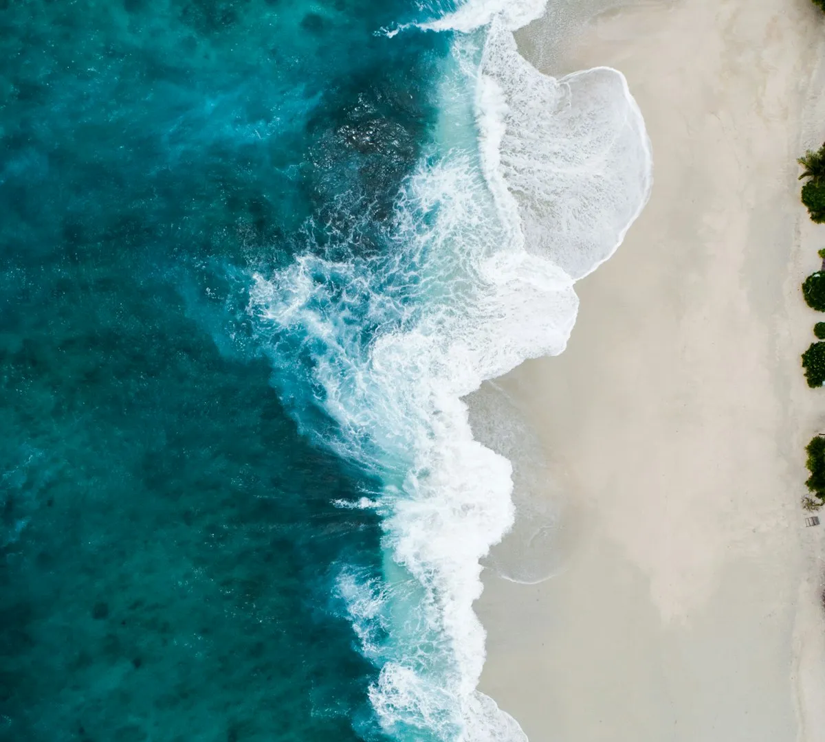Ocean Whispers