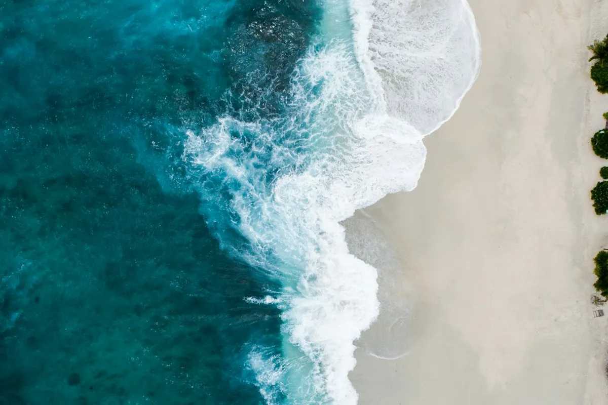 Ocean coastline landscape