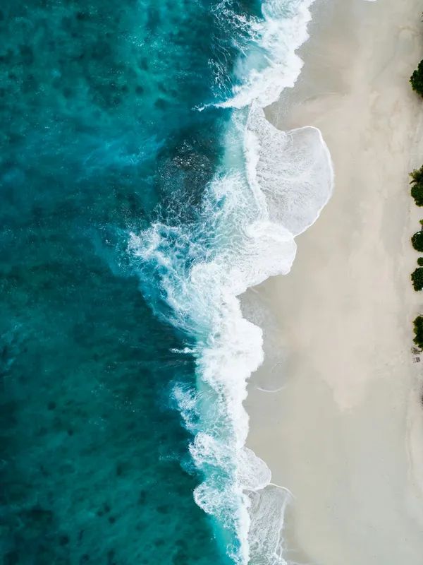Ocean Whispers